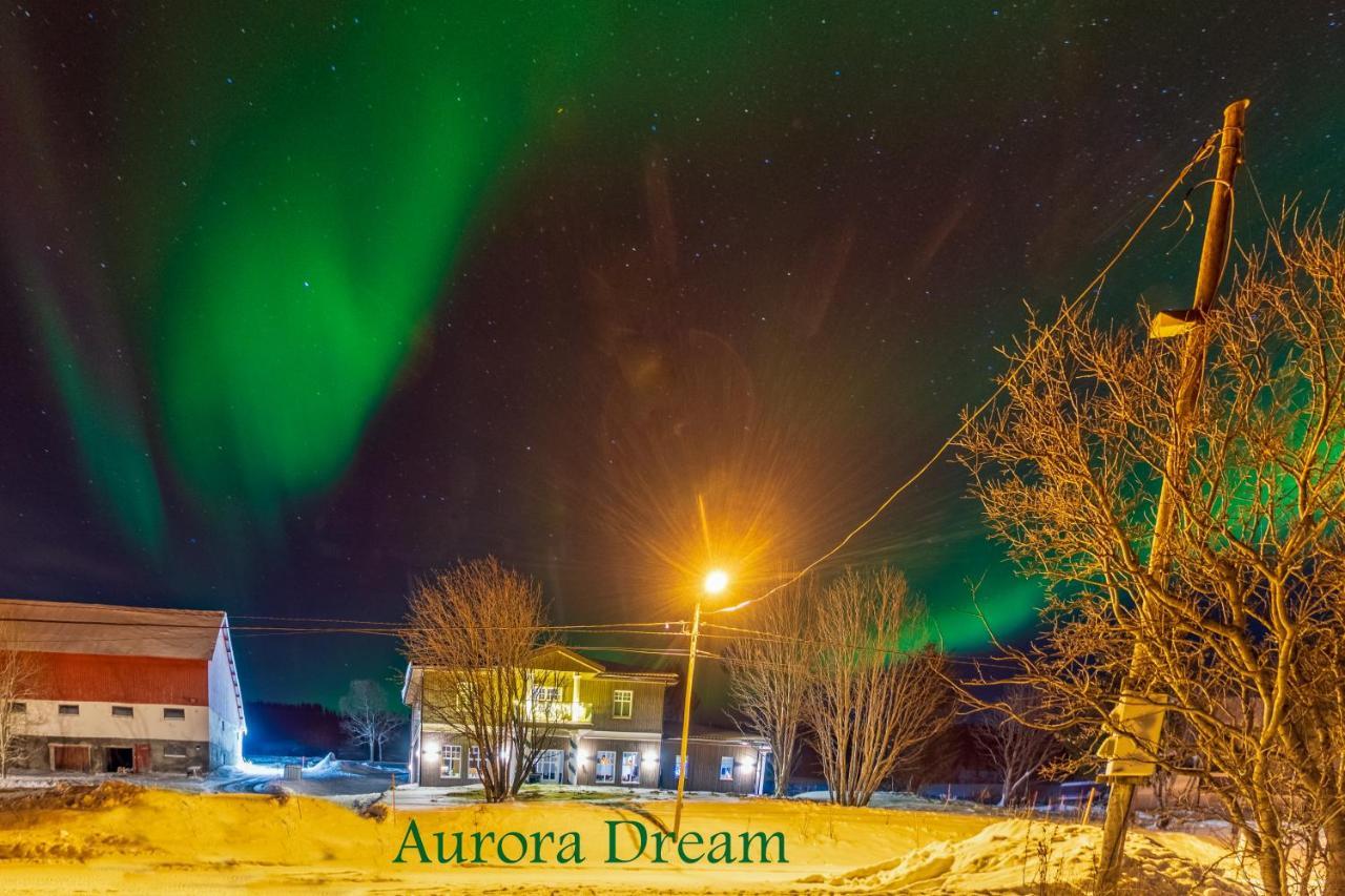 Aurora Dream Apartment Svensby Екстериор снимка